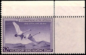 U.S. 1950 DUCK HUNTING STAMPS "TRUMPETER SWANS" MINT CV$90 - Picture 1 of 1