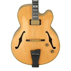 Guitarra Eléctrica Natural Ibanez PM200-NT Signature Model Pat Metheny Silent... - Imagen 1 de 5