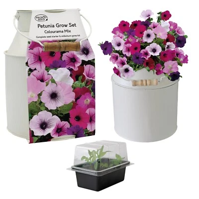 Flower Bulbs & Seeds | Gardening Gift Sets with Soil & Planter - Image 1 of 2