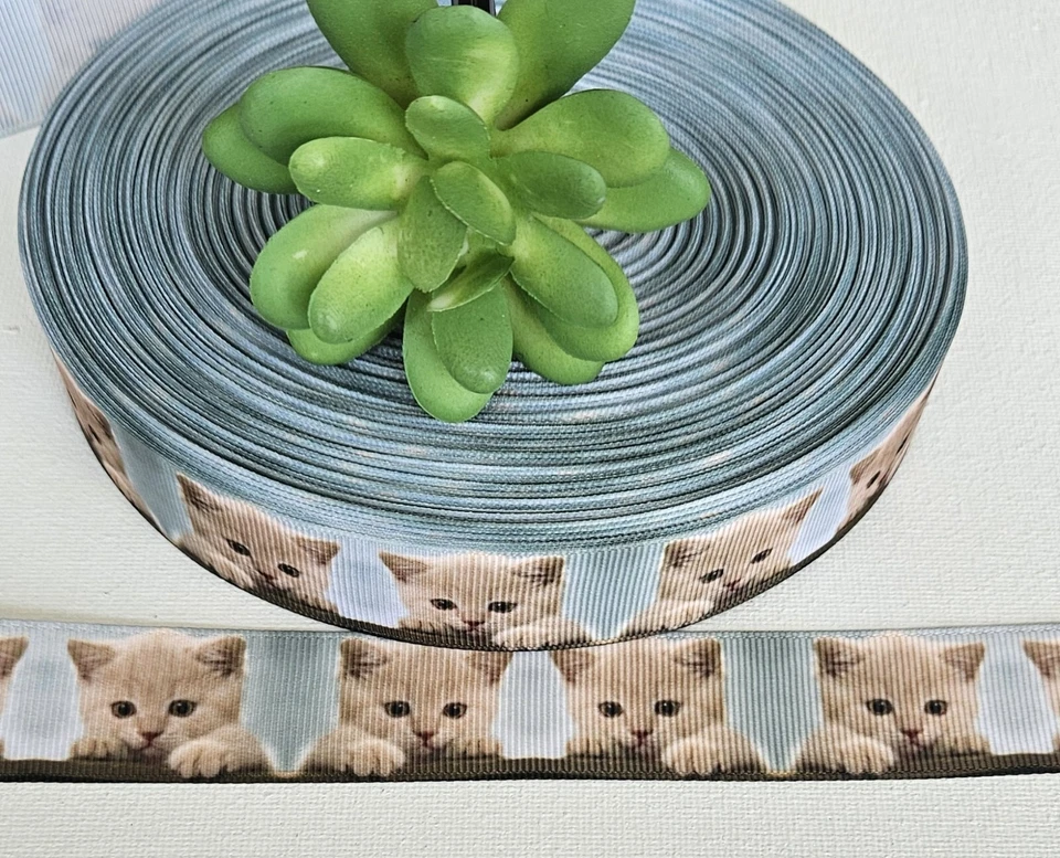 1 Inch (1 YD) Kitty Grosgrain Ribbon Cat Feline Animal Craft Ribbon - Image 1 of 1