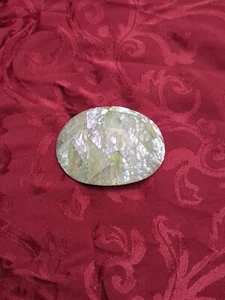 Polished Alabone Shell Chips Vintage Charmant Beverly Hills Belt Buckle / Slide - Picture 1 of 7