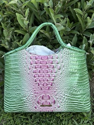 Bolso de Mano BRAHMIN Elaine Cartera Apple Blush Ombre Melbourne Nuevo con Etiquetas Foto 1 de 4