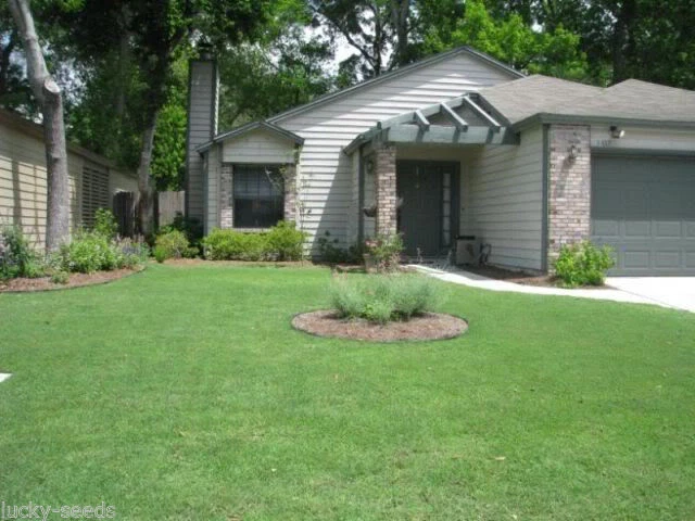 (On Backorder until 2026) Pennington Mohawk Bermuda Forage Seed - 10 Lbs. - Image 1 of 1