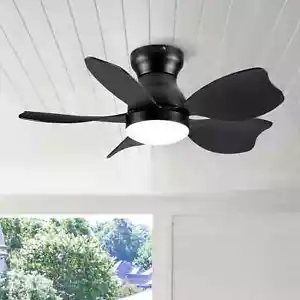 Wellspeed 30 Inch Ceiling Fan with Reversible Blades with Lights and Remote - Picture 1 of 11