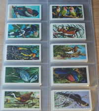 COMPLETE SET OF 50 BROOKE BOND TEA CARDS TROPICAL BIRDS NO 2