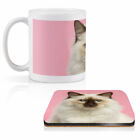 Mug & Square Coaster Set - Birman Kitten Cat Ragdoll   #2825