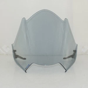 Grey Windscreen Windshield Screen For TRIUMPH Speed Triple / Street Triple 765 R - Picture 1 of 8