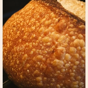 4500 year old Ancient Egyptian Sourdough Starter - Organic Dehydrated Culture - Picture 1 of 11