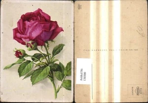 130300, flores rosa roja  - Imagen 1 de 1