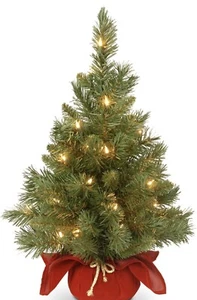 National Tree 2ft Pre-lit Artificial Majestic Fir Mini Christmas Tree w/ Lights - Picture 1 of 5