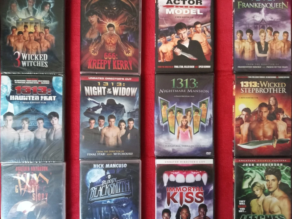DAVID DECOTEAU MEGA-BUNDLE - 12 Brand New DVDs!  Sexy Horror  Gay Interest - Image 1 of 4
