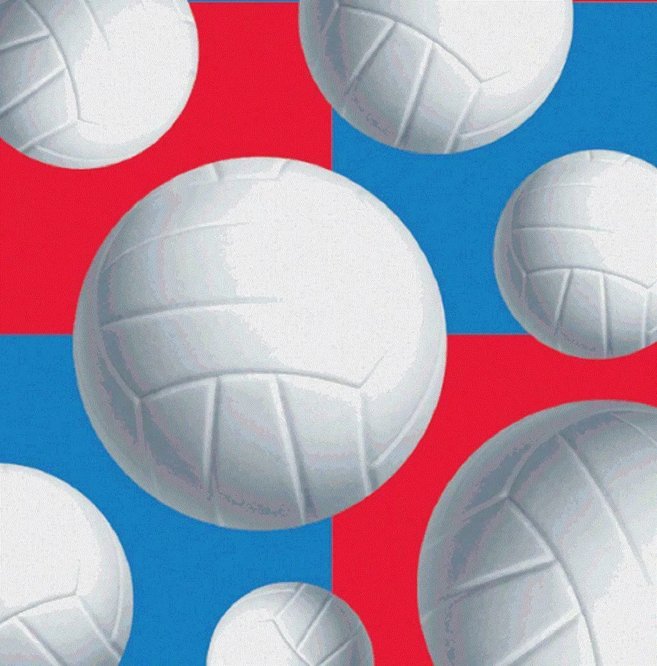 All-Star Volleyball Party Supplies Beverage Napkins 16ct. - Image 1 of 1