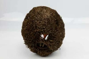 Wounaan Embera Hand Woven Chunga Beaver Mask Panama - Picture 1 of 9