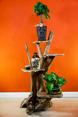 Scaffale Per Piante In Legno Massello Di Radice Di Teak - Immagine 1 di 4