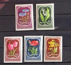 HÚNGARA 1951 FLORA, Cpl XF impforado montado sin montar o nunca montado/** conjunto, plantas naturales, flores hierbas - Imagen 1 de 1