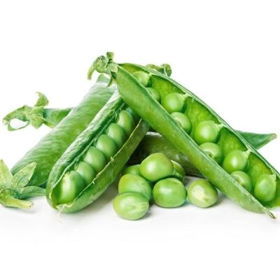 PEA (SHELLING) Massey Gem 25 seeds-1kg HEIRLOOM vegetable garden AUTUMN WINTER - image 1 of 3