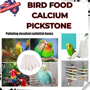 Bird Food Calcium Pickstone Cuttlebone Cuttlefish Sepia Bone Cuttle Fish 10/20/3 - Picture 1 of 7