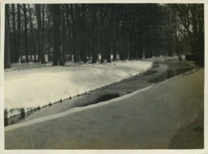 Netherlands Snowy winter landscape Canal Bush 2 Old amateur Photos 1940 - Imagen 1 de 3
