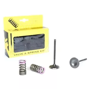 Steel Intake Valve & Spring Upgrade Kit for Honda CRF250R 2004 2005 2006 2007 - Picture 1 of 2