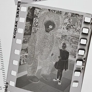 High Quality Photo Negatives Lot Hampden County MA Area Archives Variety 35mm - Picture 1 of 19