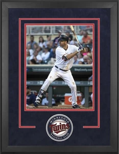 Minnesota Twins Deluxe 16x20 Vertical Photo Frame - Picture 1 of 1