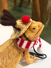 Bearded Dragon Lizards Reptile Hat+Scarf Accessories Toys Christmas Santa Outfit