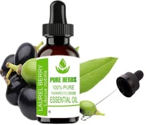 Pure Herbs Laurel Berry 100% Pure and Natural Laurus Nobilis Essential Oil - Picture 1 of 6