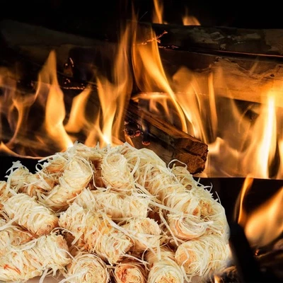 Firelighter, Firelighters, Accendifuoco vidaXL - Immagine 1 di 4