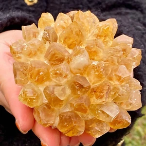 466G Cristallo di Quarzo Giallo Naturale Grappolo Esemplare Cristallo Fiori Decorazione Casa - Foto 1 di 12