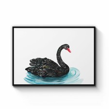 Black Swan Australian Animal Nursery Decor Wall Art Poster Print A3 A2 A1 A0 B1