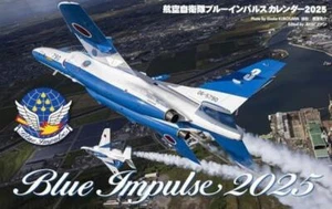 JASDF Blue Impulse Calendar Wall Hanging Starting from January 2025 from Japan - Picture 1 of 2