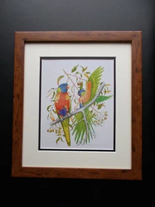 AUSTRALIAN BIRDS PRINT FRAMED (D) - Picture 1 of 1