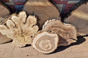 Blat - Orzech włoski Drewno Tischplatte Walnussholz Walnut table top Natur Epoxy - Zdjęcie 1 z 9
