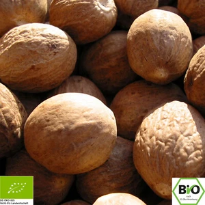 100g Muskatnuss Bio ganz - Bild 1 von 3