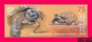 KYRGYZSTAN 2019 Nature Fauna Animal Reptile Amphibian Turtle 1v Mi KEP133 MNH - Picture 1 of 1
