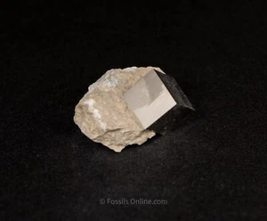 Pyrit Würfel in Matrix La Rioja Spanien 6454 - Bild 1 von 2