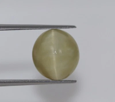 8.17 Ct Translucent Loose Gemstone CERTIFIED Natural Green Cat’s Eye Chrysoberyl - Image 1 of 4