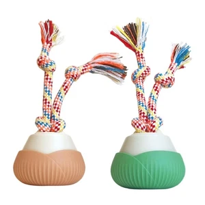 SelfRolling Cats Exercise Ball with Automatic Motion Chewing Chasing Rope Toy - Picture 1 of 10