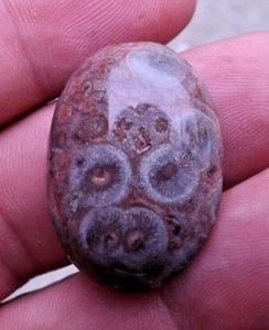 Beautiful Red poppy jasper cabochon oval cut 20x29x8mm 6 grams - Picture 1 of 7