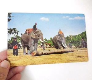 Antigua postal elefante en el trabajo dibujo madera en Mae Sa, Chiengmai Tailandia foto - Imagen 1 de 6