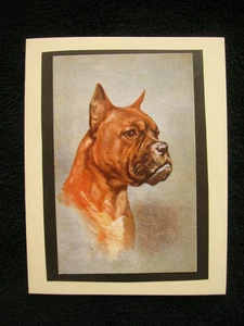 USA Dog Pet Sympathy Card con busta 5x4 boxer fatto a mano - Foto 1 di 2