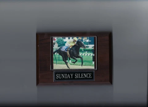 SUNDAY SILENCE PLAQUE HORSE RACING TURF Cover