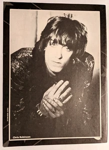 THE BLACK CROWES / 2 PÁGINAS REVISTA BARRIO SEÑOR ROBINSON ARTÍCULO COMPLETO - Imagen 1 de 2