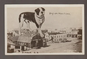 Oldham SOUTH DAKOTA RPPC c1910 MAIN STREET Livery EXAGGERATION nr Lake Preston - Bild 1 von 3