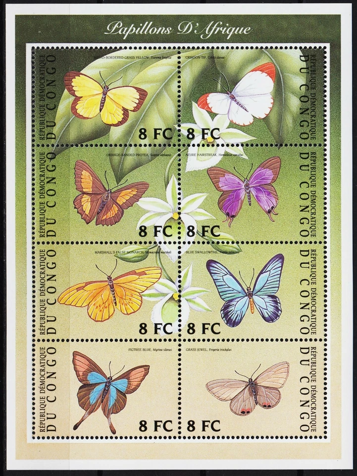 Congo 2001 Butterfly Butterflies Insects Nature Conservation Farfalle MNH/1 - Image 1 of 1