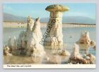 Postcard (U9) The Dead Sea Salt Crystals