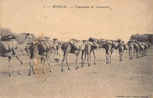 Senegal - Camel Caravans - Publ. Albaret 3 - - Sénégal - Caravanes de chameaux - - Picture 1 of 2