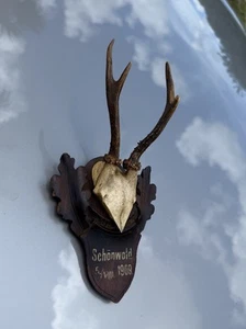 1909 Dated Antler Black Forest Carved Wooden Plaque Antique Trophy - Picture 1 of 6