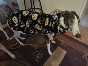 Greyhound Jacket/Coat - Pittsburgh Steelers + Martingale Collar & Leash - Picture 1 of 2