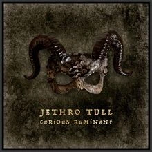 Curious Ruminant von Jethro Tull | CD | Zustand sehr gut - Bild 1 von 2